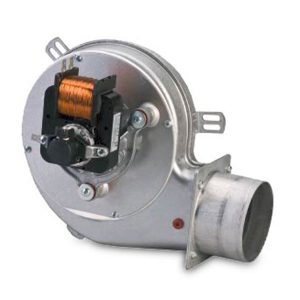 pl21